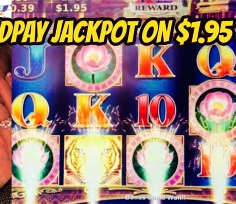 video slot wins|Dianaevoni Vegas Slot Machine Videos .